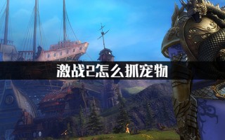  激战2怎么装备两套武器啊,激战2萌新最全面的详细攻略？